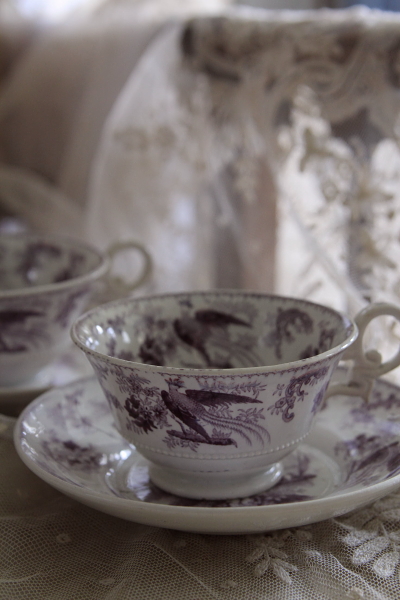 アンティークティーカップ&ソーサー イギリス ヴィクトリアン バラ アジアンティックフェザンツ 【Antiques Truffle 京都 鹿ケ谷】