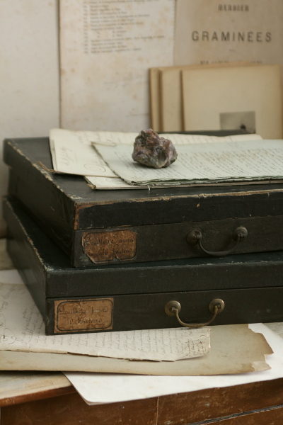 フランスアンティーク　大判帳簿１冊　c20 フランスアンティーク 大判帳簿1冊 c20