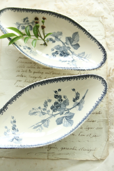 フランスアンティーク サルグミンヌU&C MIGNONシリーズ サラディエール