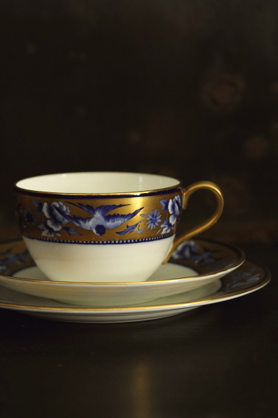 英国アンティーク　ワイルマントリオ1880年頃カップ・ソーサー　wileman 英国アンティーク ワイルマントリオ1880年頃カップ・ソーサー wileman