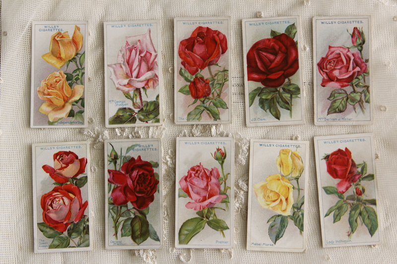 アンティークシガレットカード cigarette cards イギリス will's