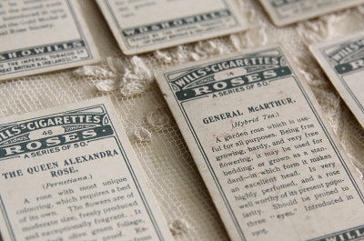 アンティークシガレットカード cigarette cards イギリス will's