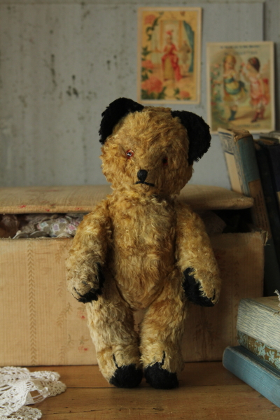 アンティークスーティータイプベア テディベア クマぬいぐるみ 東欧 20180627【Antiques Truffle 京都 鹿ケ谷】