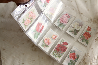 アンティークシガレットカード cigarette cards イギリス will's