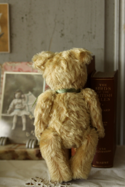 アンティークベア イギリス グラスアイ 20180718 【Antiques