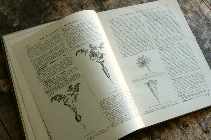 AeB[N@Ï@oldbooks CMX@Encyclopedia@of Horticulture