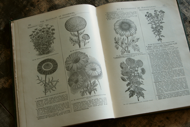 AeB[N@Ï@oldbooks CMX@Encyclopedia@of Horticulture