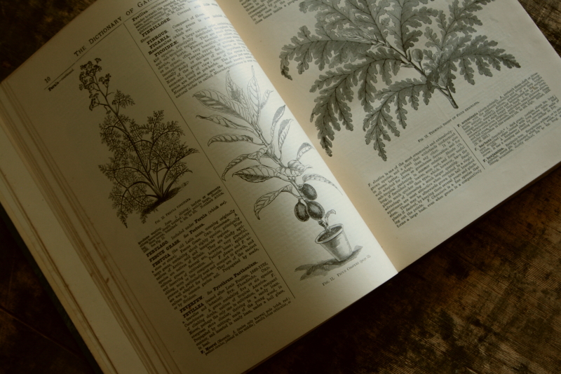 AeB[N@Ï@oldbooks CMX@Encyclopedia@of Horticulture