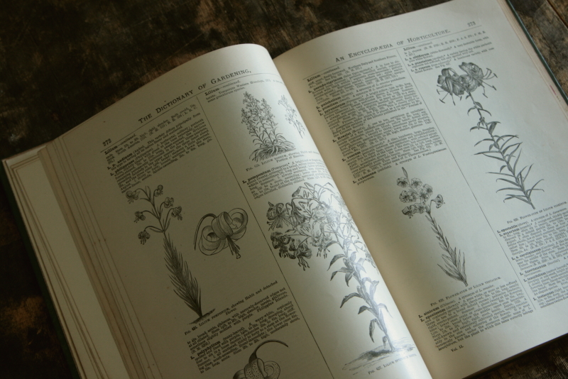 AeB[N@Ï@oldbooks CMX@Encyclopedia@of Horticulture