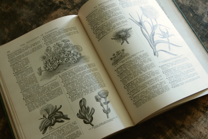 AeB[N@Ï@oldbooks CMX@Encyclopedia@of Horticulture