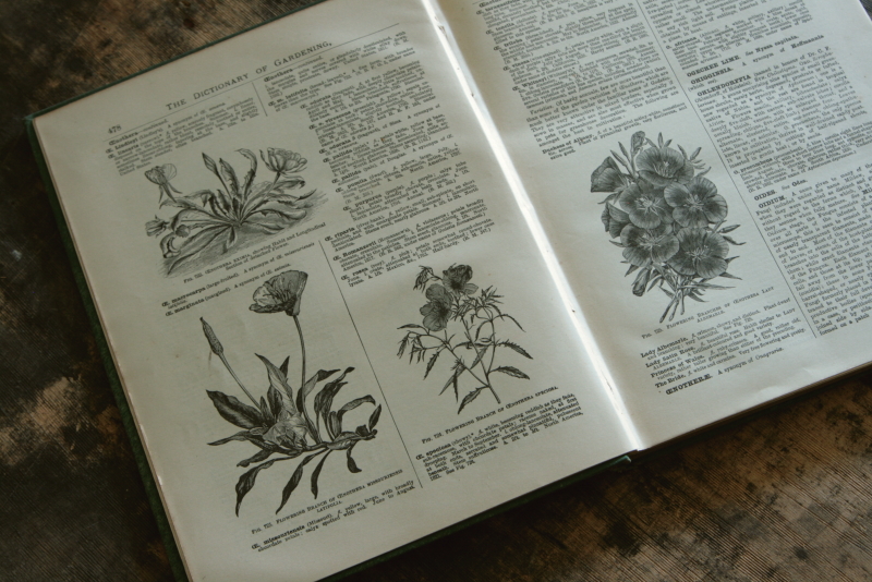 AeB[N@Ï@oldbooks CMX@Encyclopedia@of Horticulture