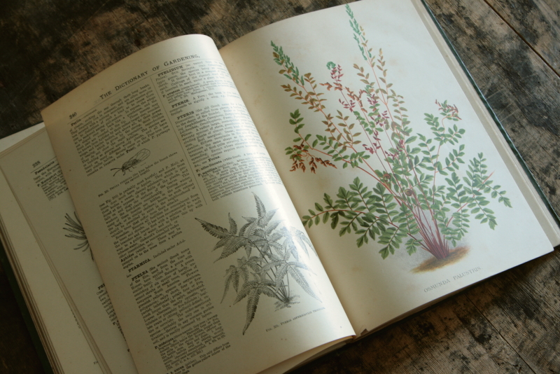 AeB[N@Ï@oldbooks CMX@Encyclopedia@of Horticulture