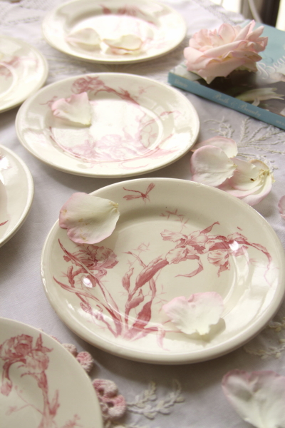 GIEN ジアン begonia プレート アンティーク 皿 希少 GIEN ジアン