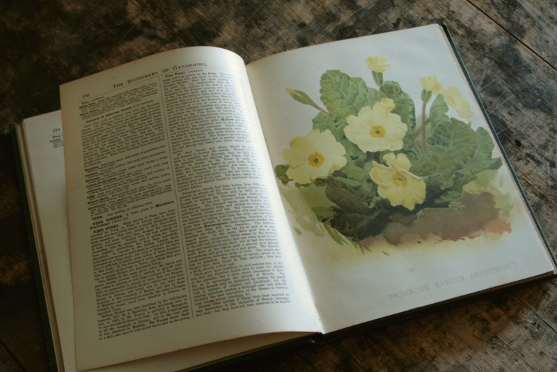 AeB[N@Ï@oldbooks CMX@Encyclopedia@of Horticulture