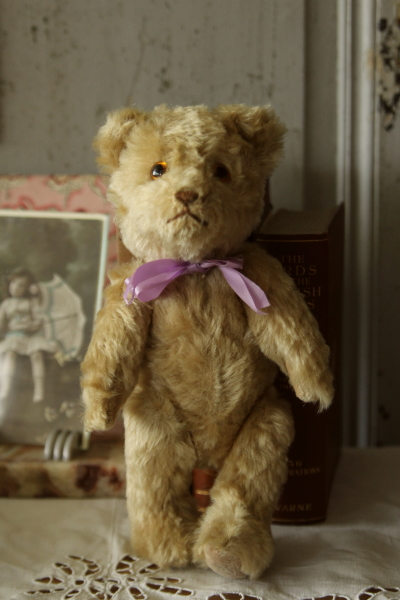 アンティークベア イギリス グラスアイ 20180718 【Antiques