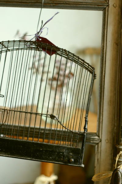 アンティーク バードケージ 鳥カゴ イギリス フランス アンティークストリュフ 京都市左京区