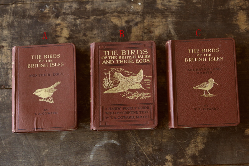 アンティークブック 古書 鳥類図鑑 イギリス 20160602【Antiques 