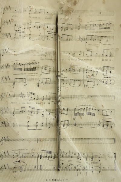 フランス　シルバーペン　純銀 500x0.jpg