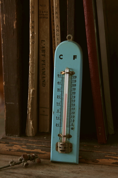 【アンティーク】TOMO Thermometer 温度計 雑貨 アンティーク/コレクション その他 新規購入