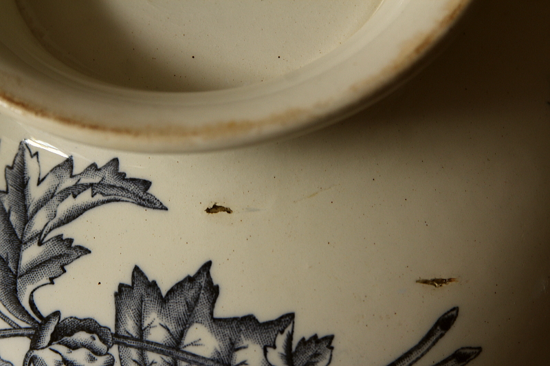 アンティーク陶器 大鉢ボウル 花鳥柄 フランス 【Antiques