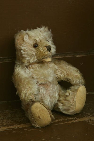 アンティークベア ドイツ シュタイフ steiff zotty 【Antiques Truffle 