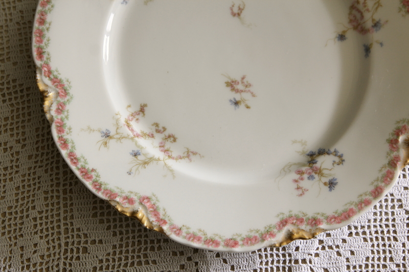 T&V リモージュ アンティーク ディナープレート 28cm リモージュ