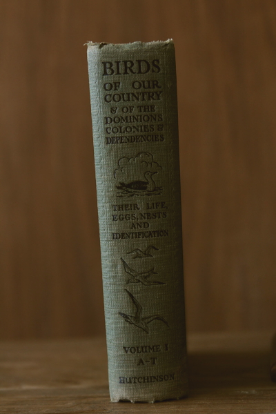 アンティーク古書 イギリス 鳥類図鑑 【Antiques Truffle 京都