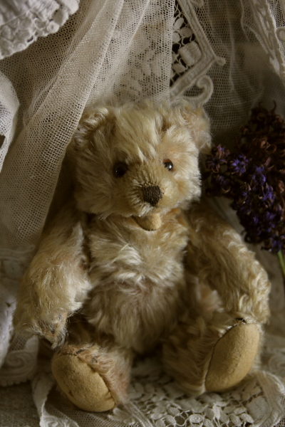 アンティークベア ドイツ シュタイフ steiff zotty 【Antiques