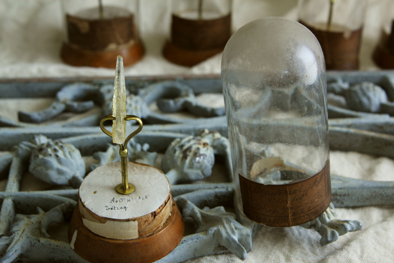 アンティーク鉱物標本 科学 実験具 フランス 【Antiques Truffle 京都