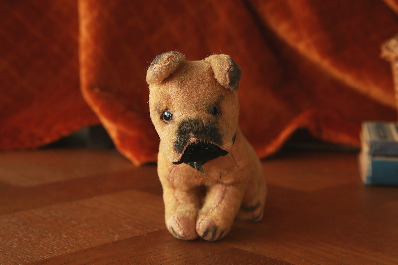仔犬のボクサー　ぬいぐるみ　ドイツ　アンティークストリュフ