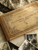 At@xbg̐}ďW@the book ornamental alphabets CMX AeB[NXgt 20251121
