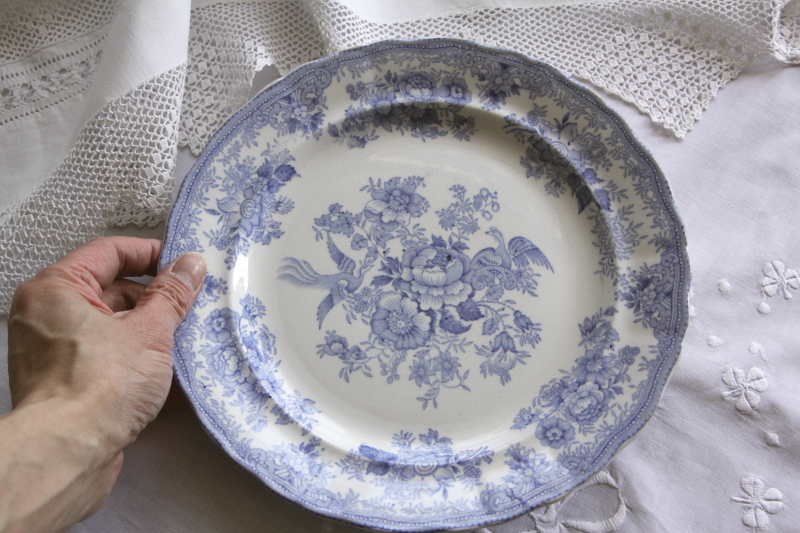 アンティークブルーアンドホワイトディナープレート doulton ドルトン アジアティックフェザンツ イギリス
