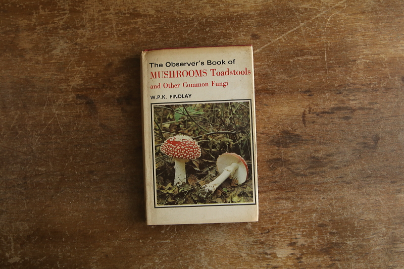 the observer's bookbirds' eggs mushroom toadstool 鳥の卵　キノコ　イギリス アンティークストリュフ