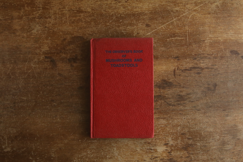 the observer's bookbirds' eggs mushroom toadstool 鳥の卵　キノコ　イギリス アンティークストリュフ