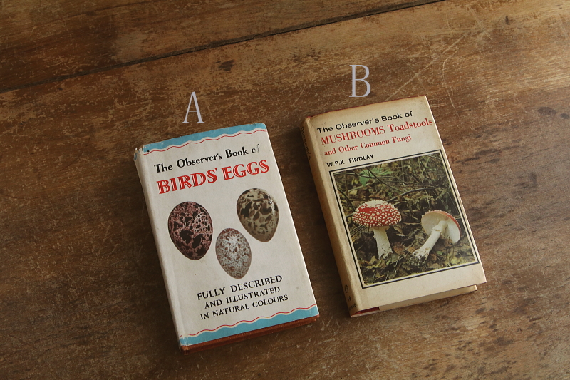 the observer's bookbirds' eggs mushroom toadstool 鳥の卵　キノコ　イギリス アンティークストリュフ