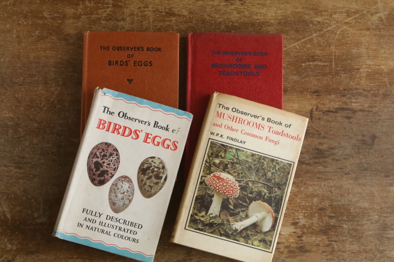 the observer's bookbirds' eggs mushroom toadstool 鳥の卵　キノコ　イギリス アンティークストリュフ