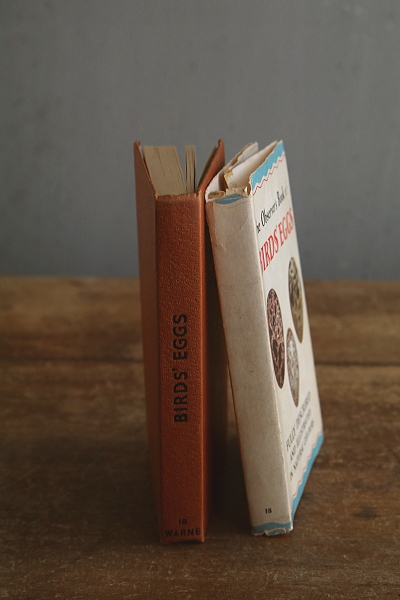 the observer's bookbirds' eggs mushroom toadstool 鳥の卵　キノコ　イギリス アンティークストリュフ