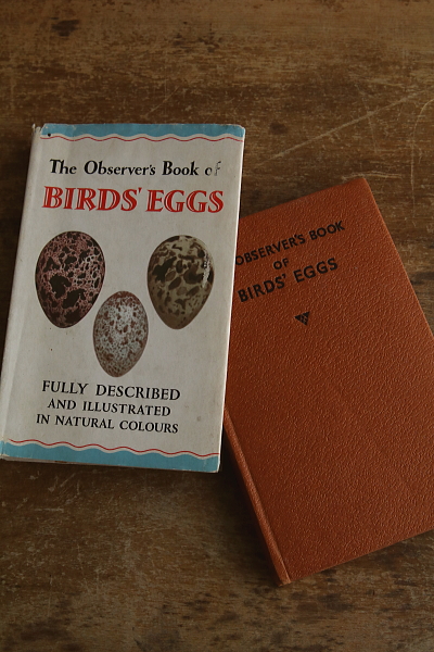 the observer's bookbirds' eggs mushroom toadstool 鳥の卵　キノコ　イギリス アンティークストリュフ