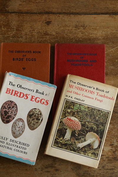 the observer's bookbirds' eggs mushroom toadstool 鳥の卵　キノコ　イギリス アンティークストリュフ 20251125