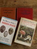 the observer's bookbirds' eggs mushroom toadstool ̗@LmR@CMX AeB[NXgt 20251125
