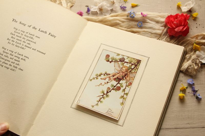 アンティークブック ボタニカルアート 妖精 cicely mary barker