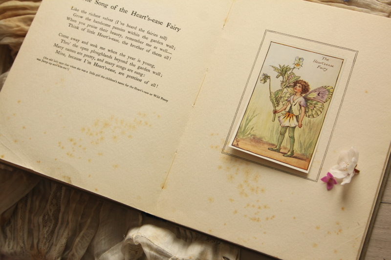 アンティークブック ボタニカルアート 妖精 cicely mary barker