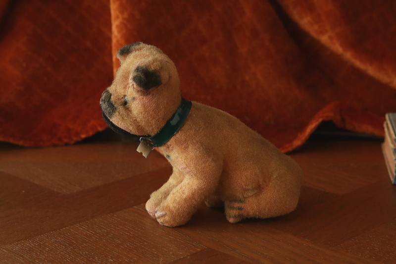 仔犬のボクサー　ぬいぐるみ　ドイツ　アンティークストリュフ
