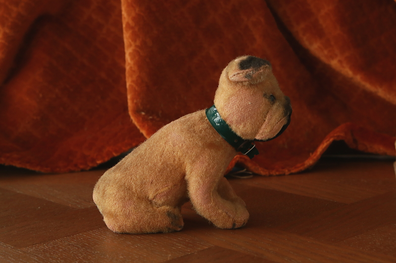 仔犬のボクサー　ぬいぐるみ　ドイツ　アンティークストリュフ