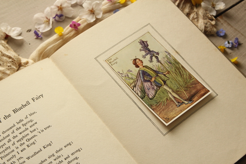 海外 絵本　1987年　Blumen himmel 植物　妖精　ボタニカル FLOWER FAIRIES OF THE GARDEN／Cicely Mary Barker