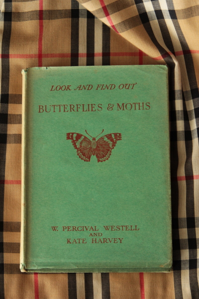 アンティークブック　蝶と蛾の図鑑　イギリス