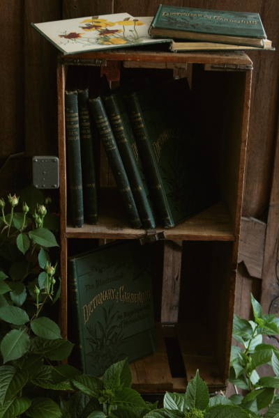 アンティーク　古書　oldbooks イギリス　Encyclopedia　of Horticulture