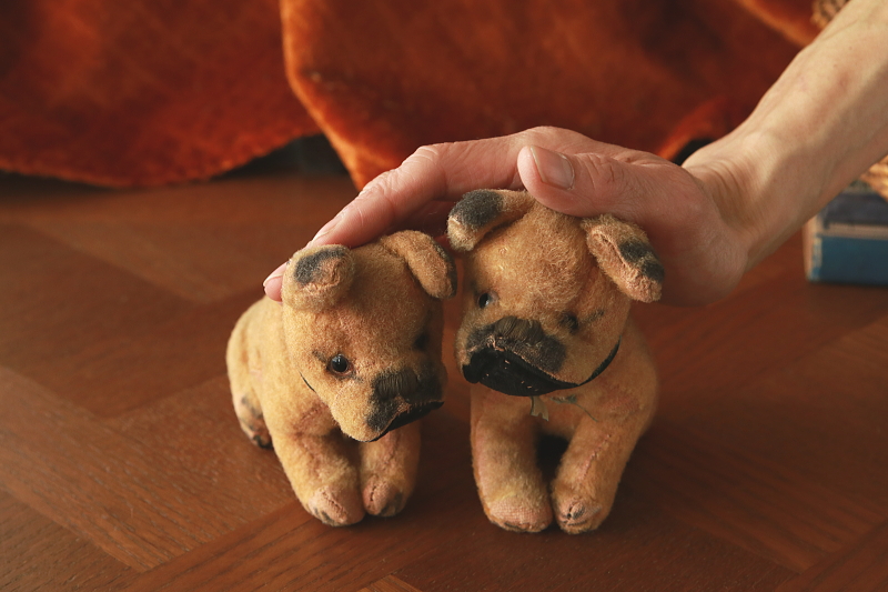 仔犬のボクサー　ぬいぐるみ　ドイツ　アンティークストリュフ