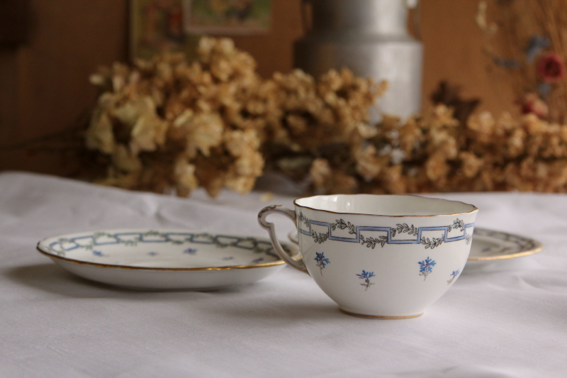 AeB[NCNE_[r[@royalcrownderby eB[gI CMX