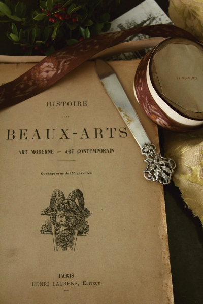 AeB[NubN@Ï@tX@histoire des beaux-arts paul rouaix tXԂ